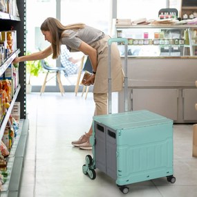 HOMCOM Carucior de cumparaturi Einkaufswagen, Treppensteiger, pliabil, Maner Telescop, pana la 65 kg capacitate de incarcare, Verde | Aosom Romania