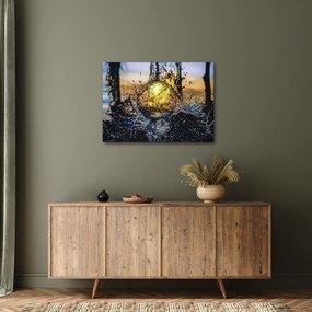 Tablou cu apa (70x50 cm)
