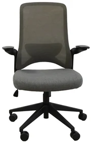 Ergodynamic Dolphin Black Grey - scaun de birou cu brate rabatabile