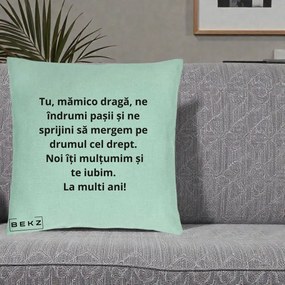 Cadou pentru Mama - Perna Personalizata Mamico Draga Te Iubim La Multi Ani cu Text Negru, 40x40 cm, Verde Menta, Husa Detasabila, Perna Inclusa, BEKZ®