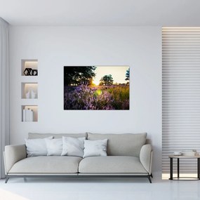 Tablou - Câmp cu lavandă (90x60 cm)