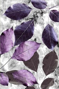 Covor, Hmnt572, 80x200 cm, Multicolor