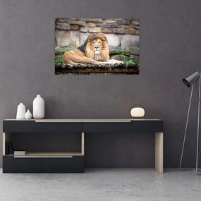 Tablou cu leu (90x60 cm)