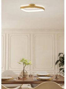 Plafonieră LED dimabilă Eglo 900916 VALLEROSA LED/25,2W/230V