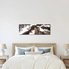 Tablou - Privire prin vârfurile copacilor (cu ceas) (90x30 cm)