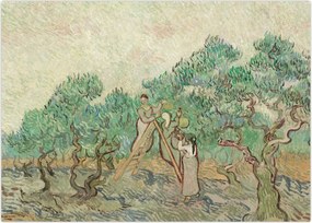 Tablou - Vincent van Gogh, The Olive Orchard, reproducere (70x50 cm)