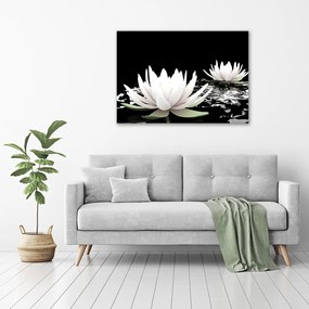 Tablou canvas Nuferi
