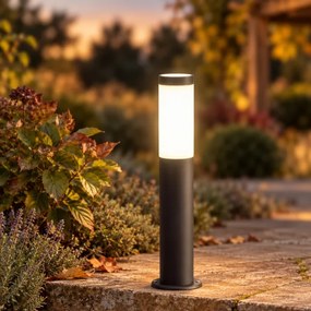 BRILAGI - Lampă LED de exterior ELIA 1xE27/7W/230V 4000K IP44 50 cm antracit