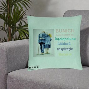 Cadou pentru Bunici - Perna Personalizata Bunicii Sursa Intelepciune Caldura Acuarela, 40x40 cm, Verde Menta, Husa Detasabila, Perna Inclusa, BEKZ®