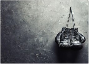 Tablou - Mănuși de box (70x50 cm)