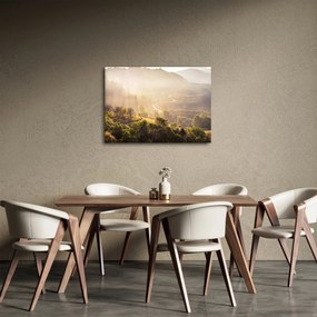 Tablou - Zori de zi (70x50 cm)