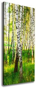 Print pe canvas Pădurea de mesteacăn