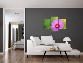 Tablou - floare de câmp (90x60 cm)