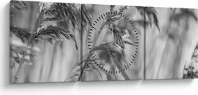 Tablou - Tei,alb-negru (cu ceas) (90x30 cm)