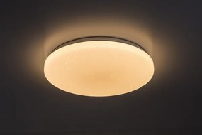 Rabalux 71446 - Plafonieră LED dimmabilă DANNY 2 LED/34W/230V 3000-6500K Ø 38 cm + telecomandă