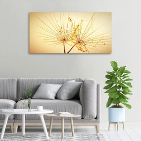 Print pe canvas Semințe de papadie