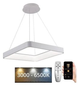 Lustră LED dimabilă pe cablu LED/55W/230V 3000-6500K alb + telecomandă