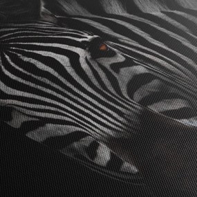 Tablou cu zebră (120x50 cm)