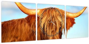 Tablou - Vacă scoțiană (cu ceas) (90x30 cm)