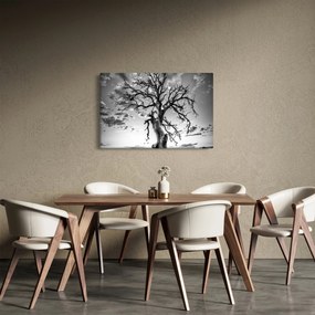 Tablou - Copacul, alb-negru (90x60 cm)