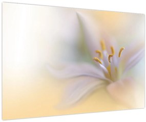 Tablou - Floare fragedă (90x60 cm)