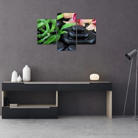 Tablou - Pietre și orhidee (90x60 cm)