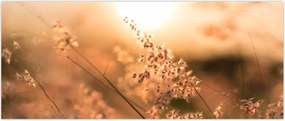 Tablou - Iarbă la soare (120x50 cm)
