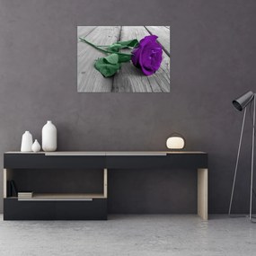Tablou pe sticlă - Trandafir violet cu tulpina verde (70x50 cm)