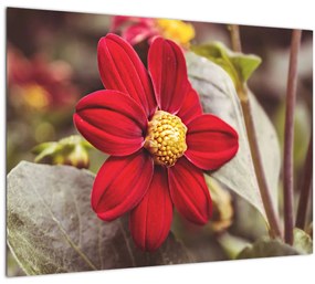 Tablou cu floare (70x50 cm)