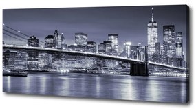 Tablou canvas Manhattan new york city