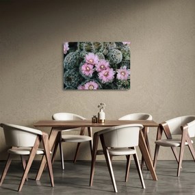Tablou pe sticlă floare de cactus (70x50 cm)