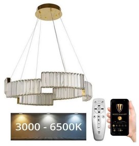 Lustră LED dimabilă pe cablu LED/40W/230V 3000-6500K auriu + telecomandă