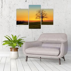 Tablou - Copacul în câmp (90x60 cm)