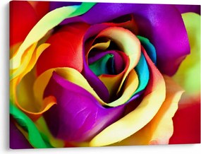 Tablou - Trandafir colorat (70x50 cm)