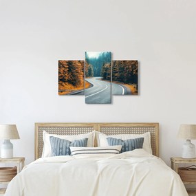 Tablou - Drumul cu serpentine (90x60 cm)