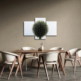 Tablou - Sfere de flori (90x60 cm)