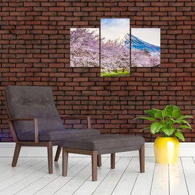 Tablou - Japonia în primăvară (90x60 cm)