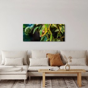 Tablou cu cameleon (120x50 cm)