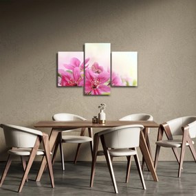 Tablou - Flori roz (90x60 cm)