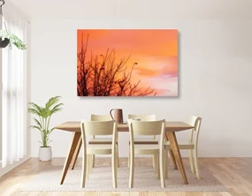 Tablou cerul colorat
