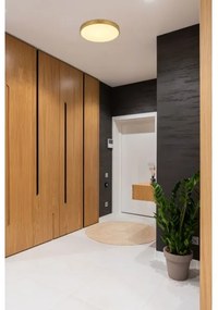 Plafonieră LED TIBEY LED/22W/230V d. 35 cm Globo 12381-22