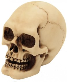 Statueta Craniu 8cm