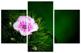 Tablou cu floare roz (90x60 cm)