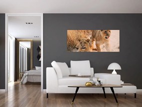 Tablou cu pui de leu (120x50 cm)