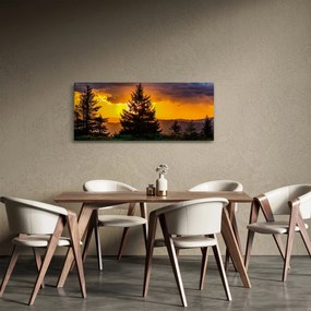 Tablou - coniferi (120x50 cm)