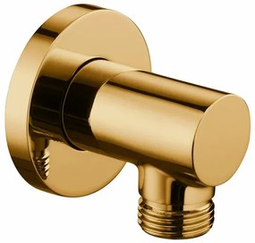 Cot de iesire dus Omnires auriu