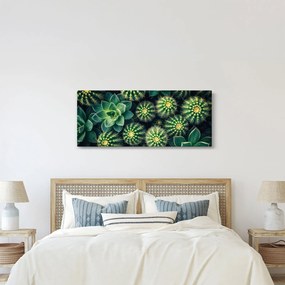 Tablou - Cactuși (120x50 cm)