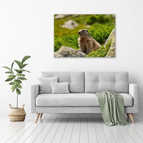 Pictură pe pânză Marmota
