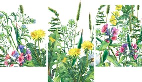 Tablou - Flori de pajiște pictate (90x60 cm)