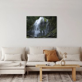 Tablou cu cascadă (70x50 cm)